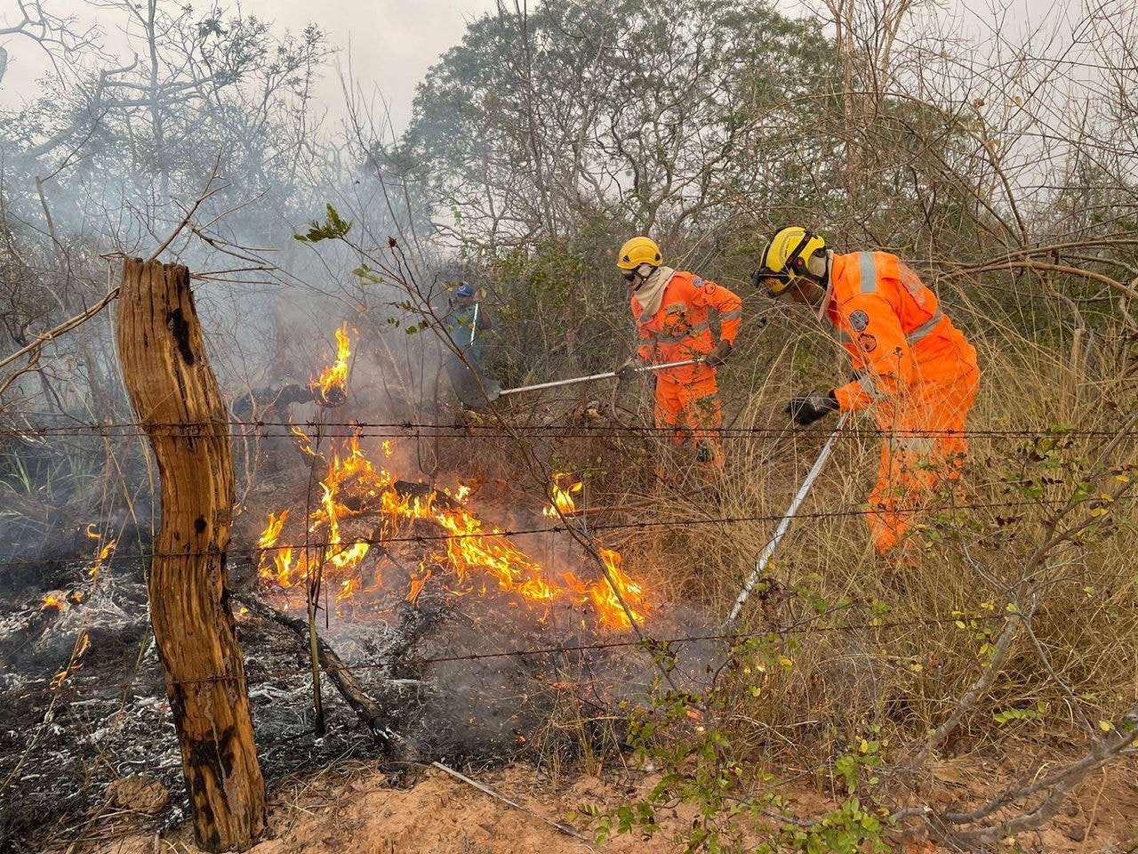 Incêndios florestais no Alto Paranaíba e no Triângulo Mineiro podem ocorrer por conta do calor intenso, baixa umidade do ar e rajadas de vento