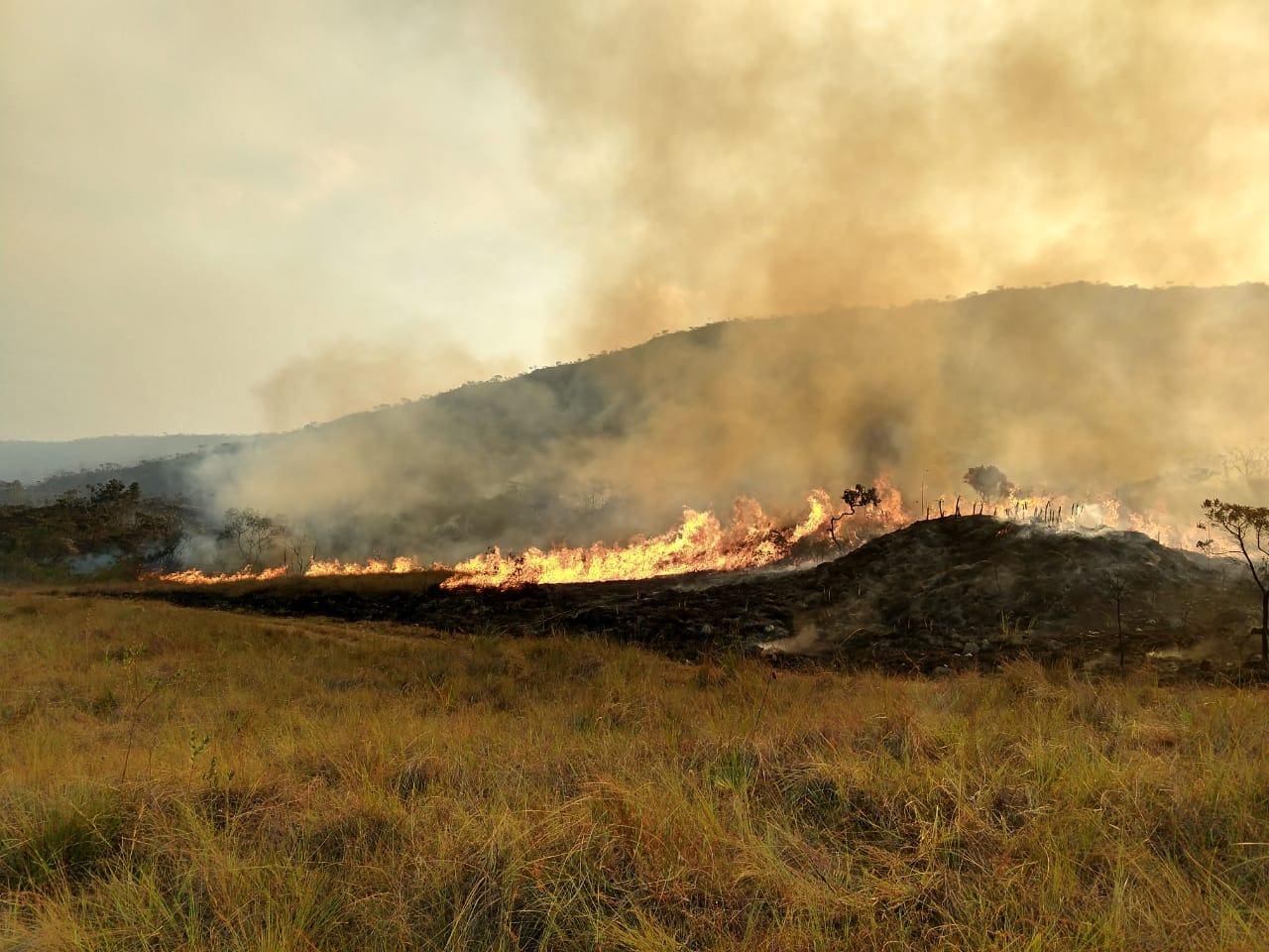 Incêndio consome serra desde a manhã desta terça