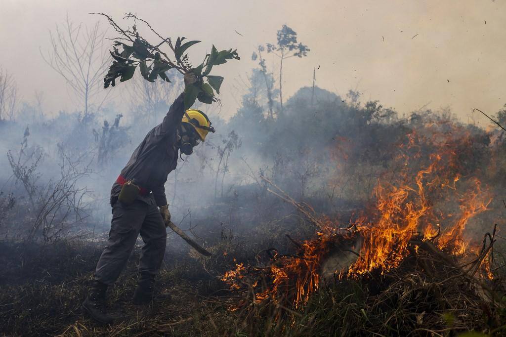 incêndio floresta amazônica