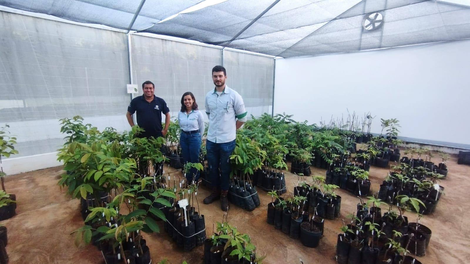 Equipe responsável pelo projeto de resgate de DNA e florescimento precoce de plantas nativas