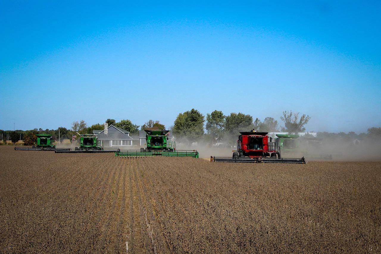 Agropecuária voltou a ser destaque e foi um setores responsáveis pelo crescimento do PIB