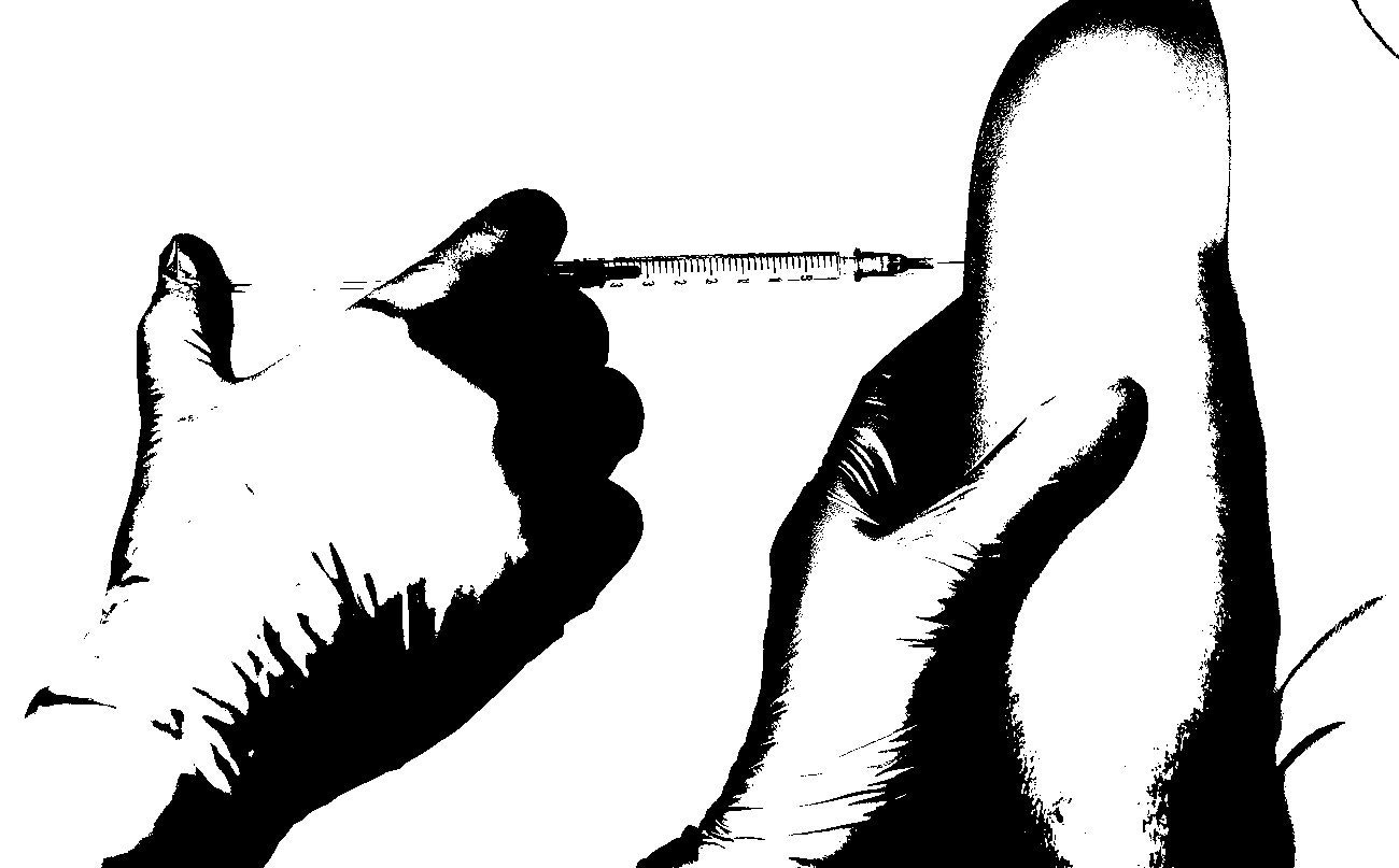 Close up of doctor's hands vaccinating child