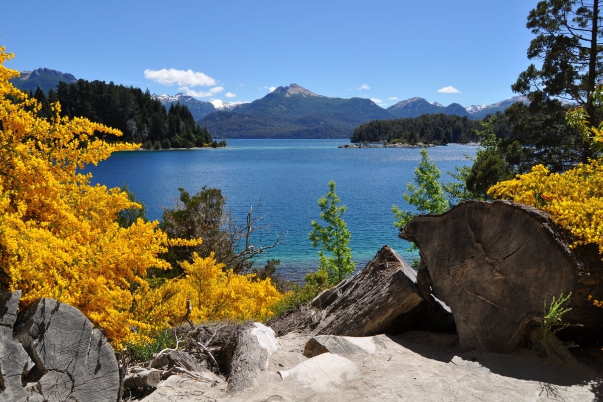 Bariloche encanta com vegetação florida no verão e na primavera