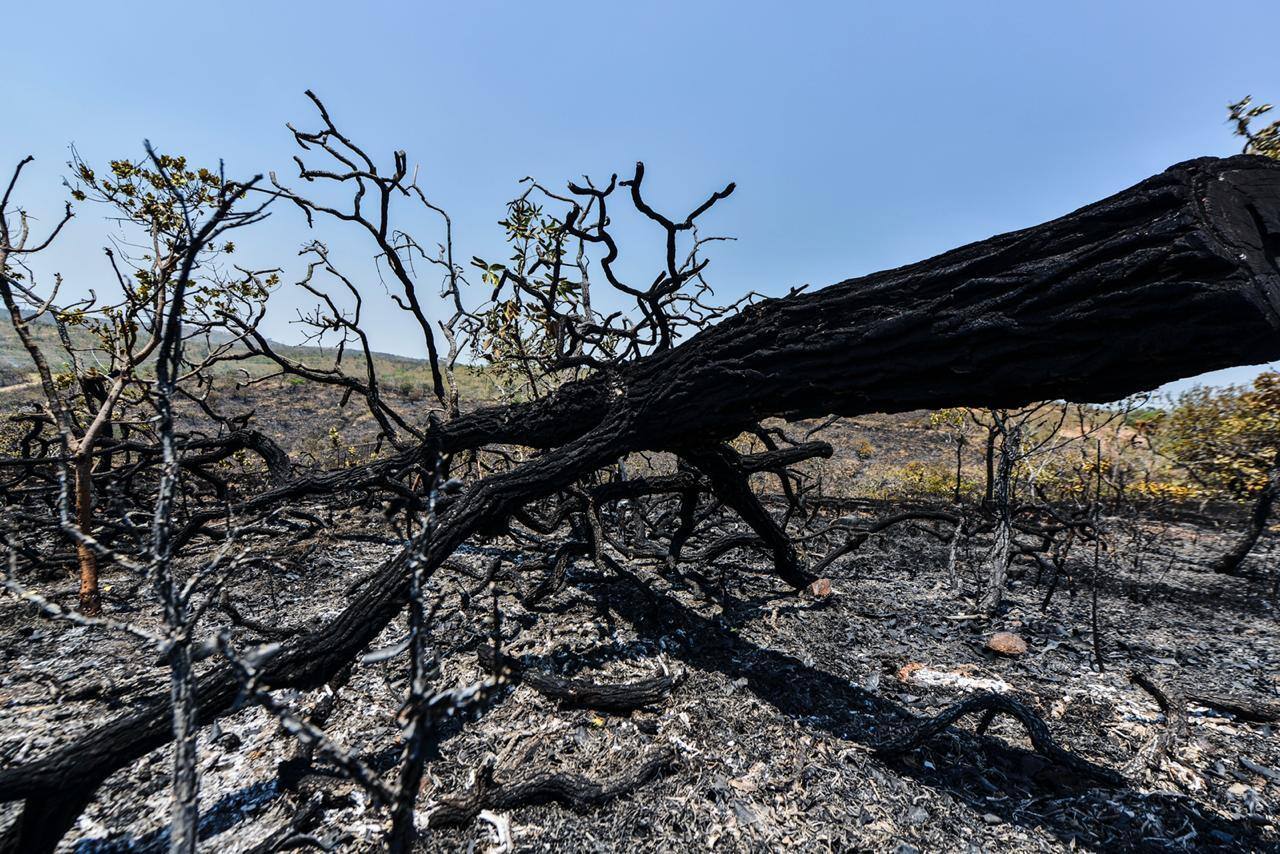 Incêndios consomem o parque da Serra do Cipó, em Santana do Riacho
