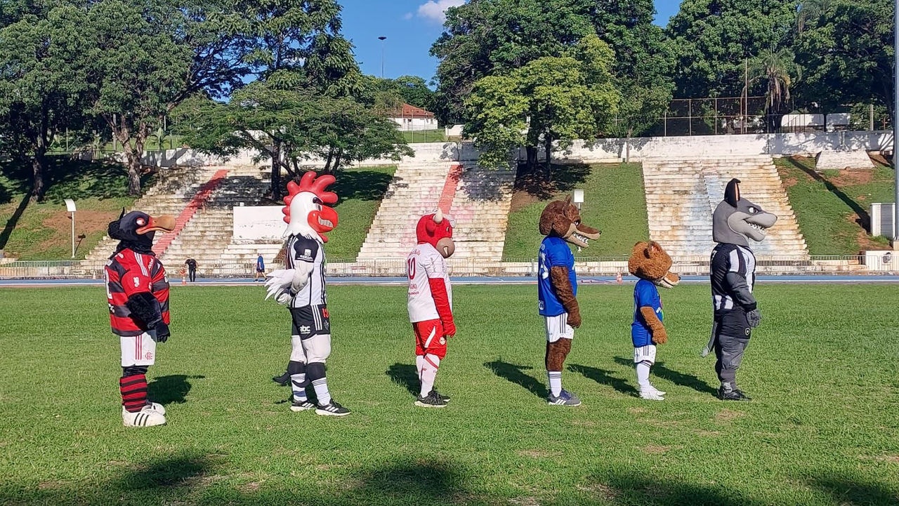 Mascotes Galo Doido, Raposão e Raposinho participam de desafio na TV