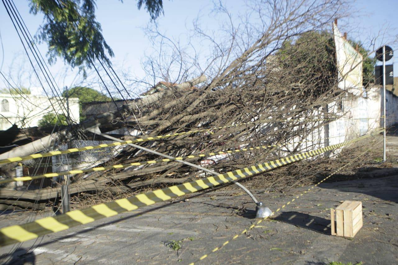 A rua Sete, no bairro Jardim dos Bandeirantes, precisou ser isolada com fita zebrada após a queda de uma árvore e um poste