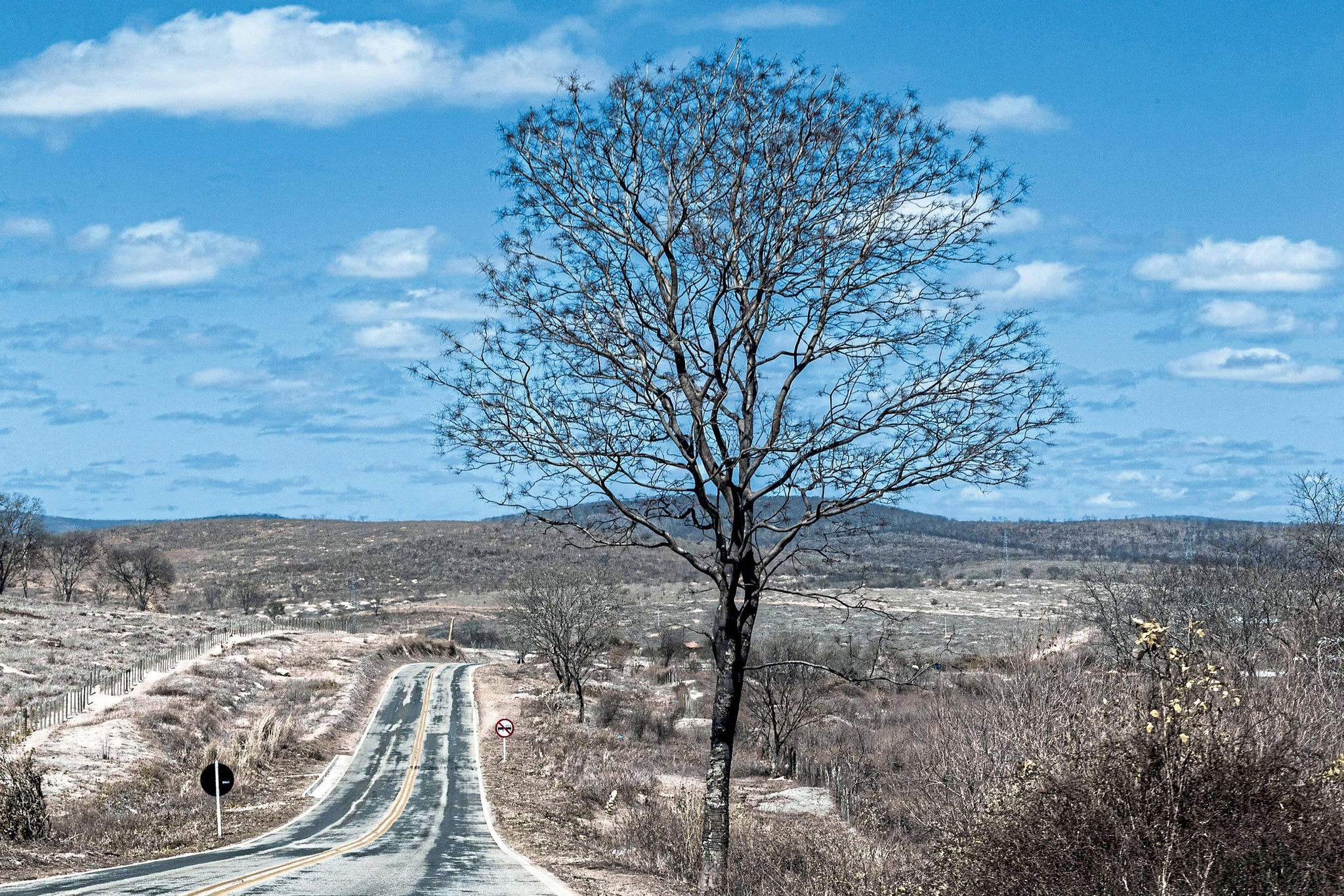 Seca em Minas