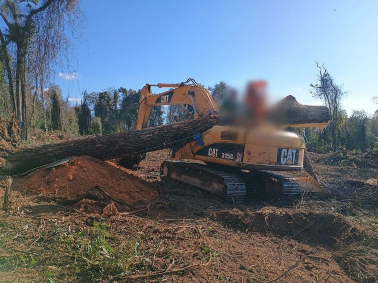 O corpo do motorista ficou preso sob o tronco da árvore