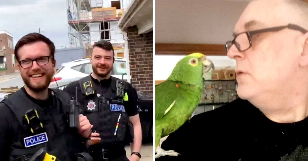De um lado, policiais se divertem ao descobrirem que a ocorrência não procedia como descrito pela denúncia; do outro, o papagaio e seu dono