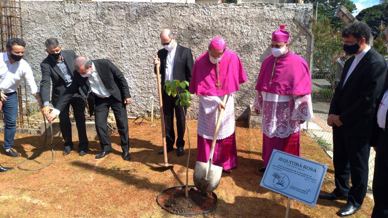 Muda de jequitibá foi plantada