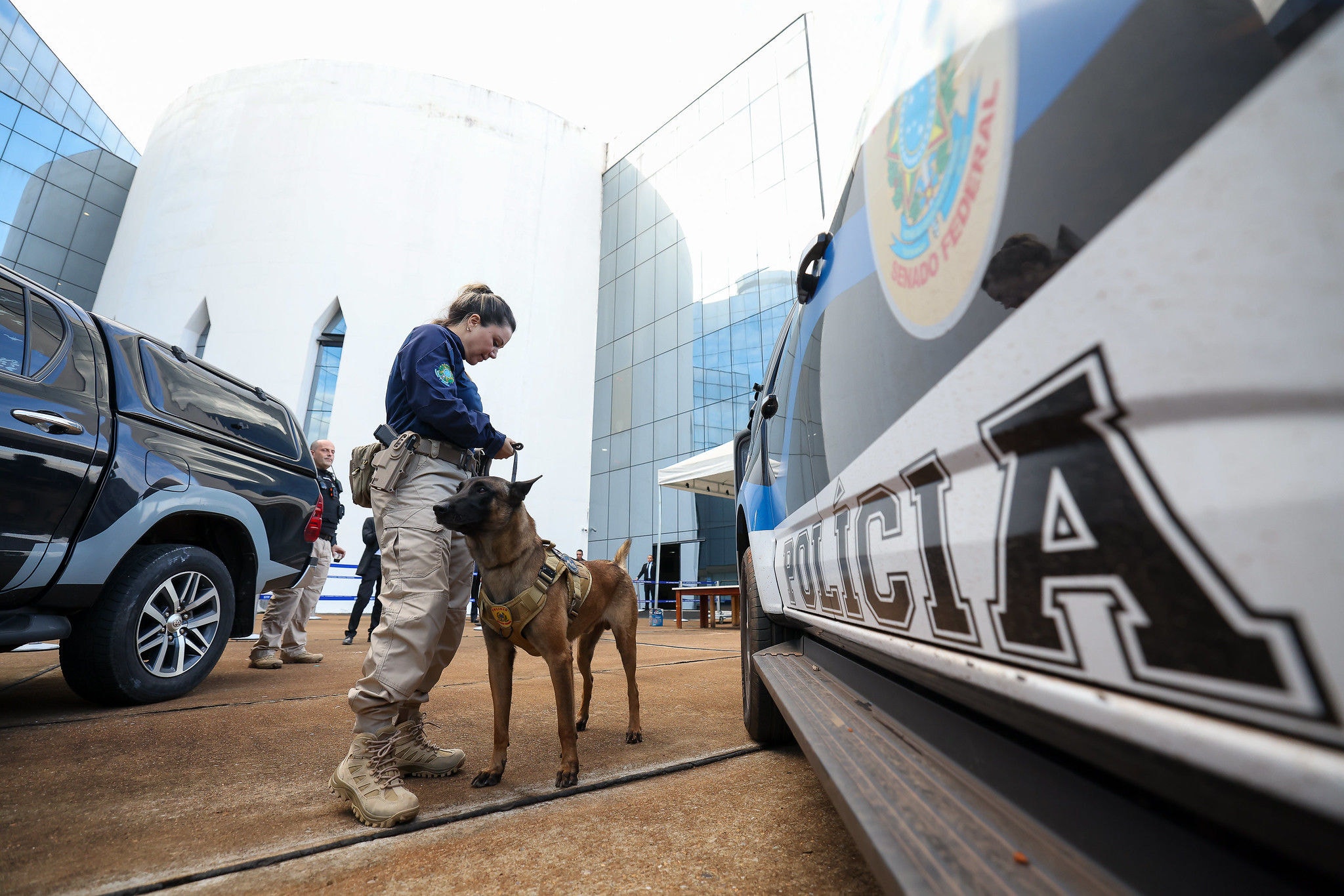 Varredura de segurança com cães farejadores no STF voltará a ser feita minutos antes do julgamento de Bolsonaro e aliados na terça-feira (2/9)