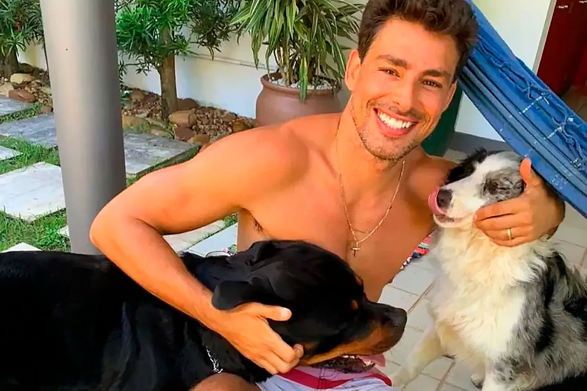 Cauã Reymond e os doguinhos, Romeu e Shakira