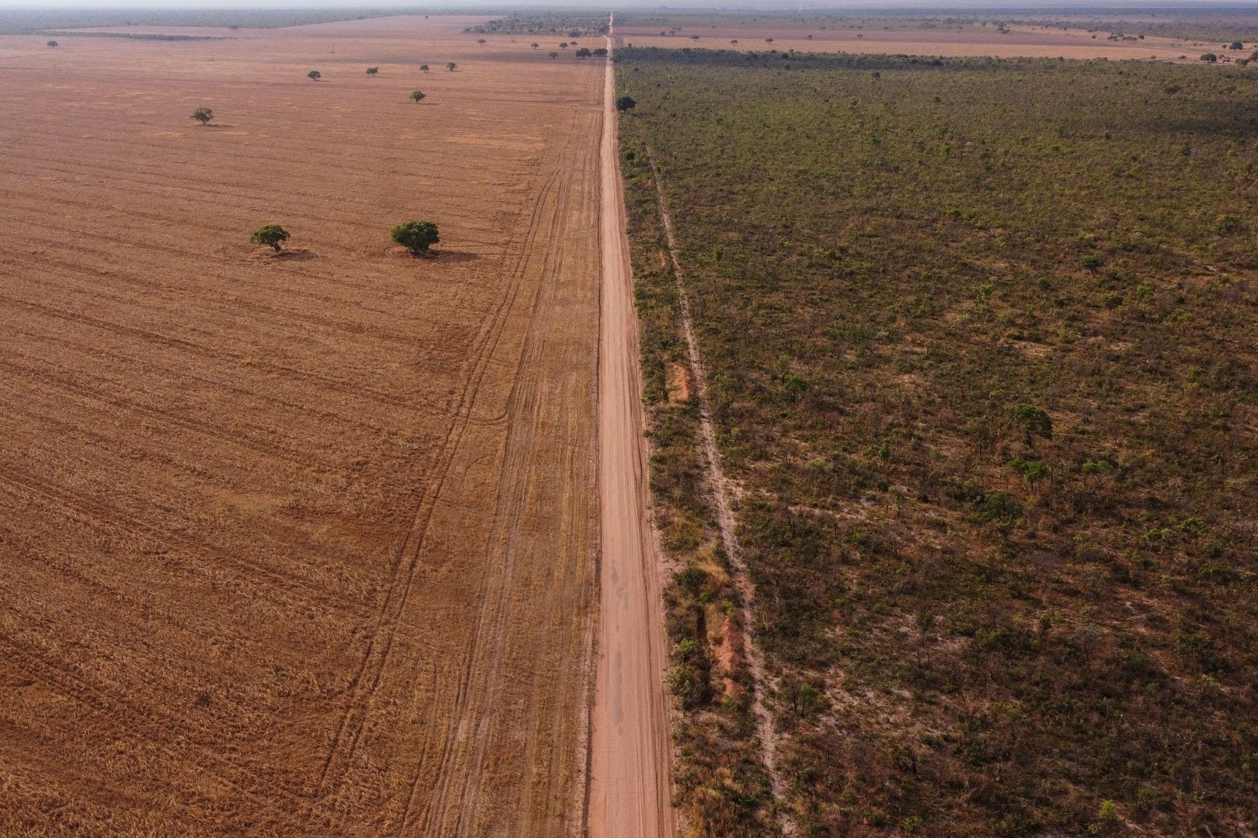 Aerial view of an agriculture field next to a native Cerrado (savanna) in Baianopolis, western Bahia state, Brazil, taken on September 29, 2023. Splashed across the middle of Brazil, the "Cerrado" may be the most important place most people have never heard of, a vast tropical savanna experts say is crucial to the planet's health but quickly disappearing. (Photo by Nelson ALMEIDA / AFP)