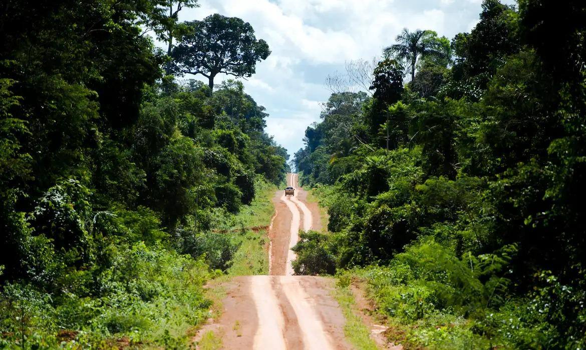 Degradação é mais complexa que o desmatamento na Amazônia, diz pesquisador
