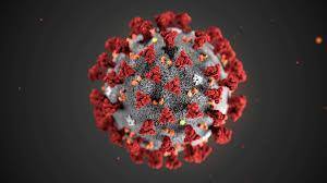 Ainda há muitas incertezas sobre o coronavírus, mas um estudo da Universidade de Princeton concluiu que a umidade e a temperatura tinham um efeito na propagação dele