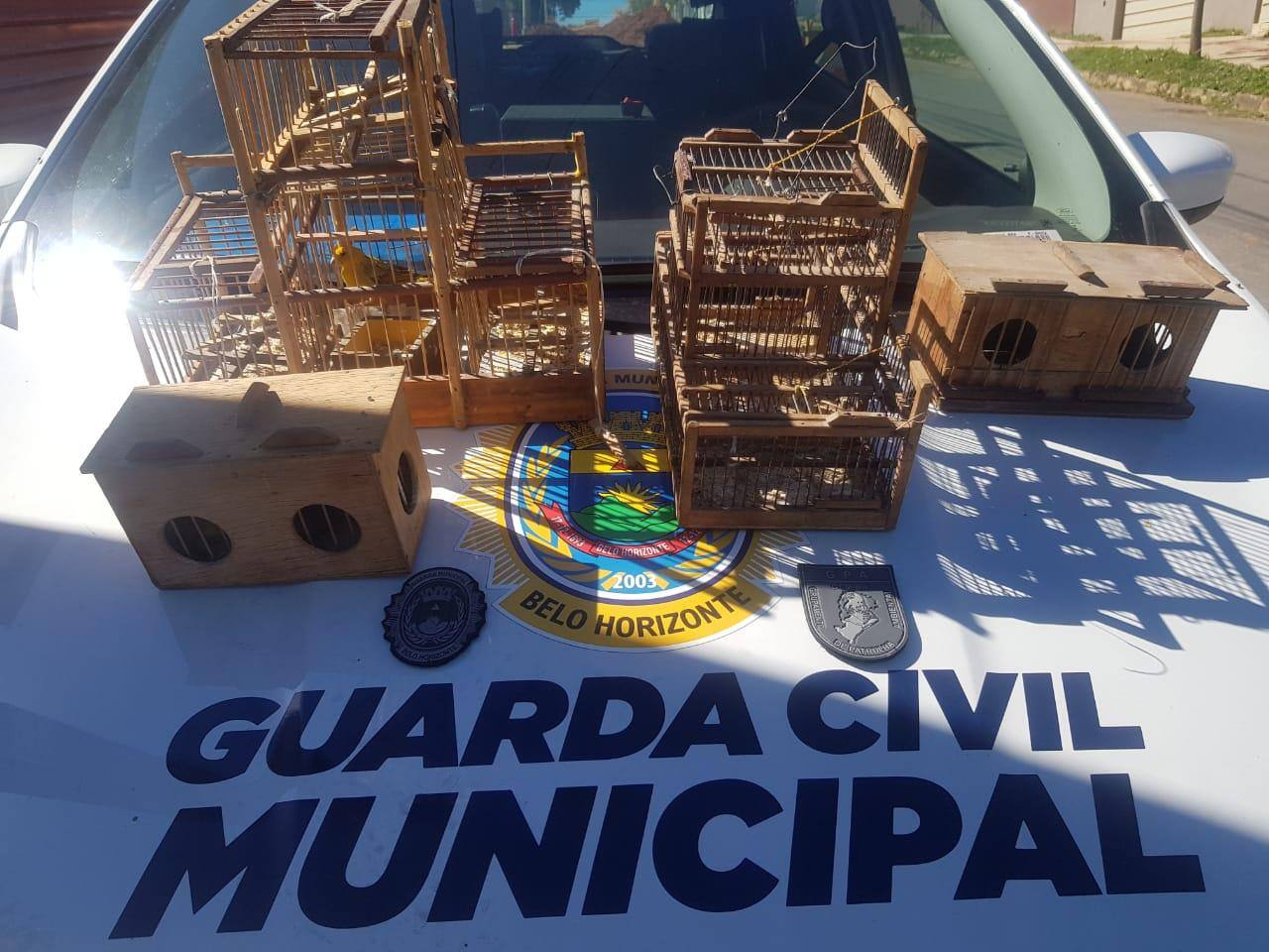Gaiolas Guarda Praça Pampulha