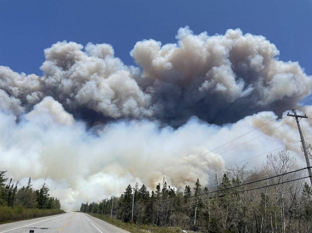 Peixe provocou incêndio no Canadá 