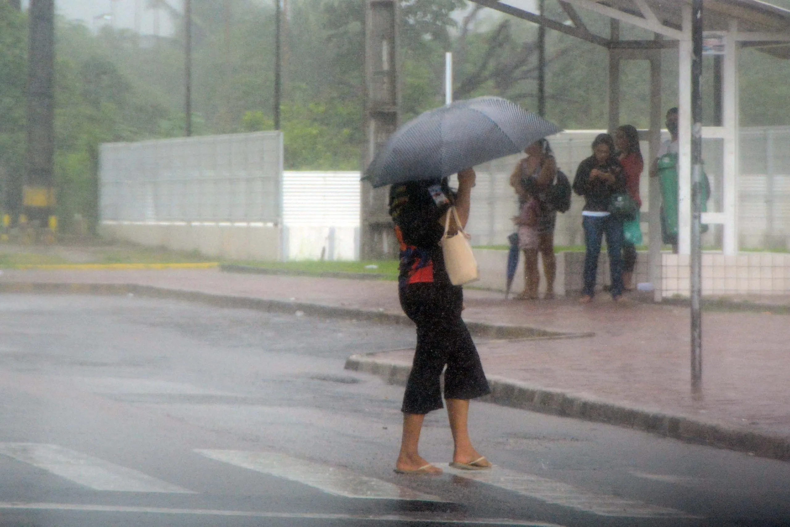 Defesa Civil alerta para tempestade com chuvas intensas em SC nesta quarta-feira (6)