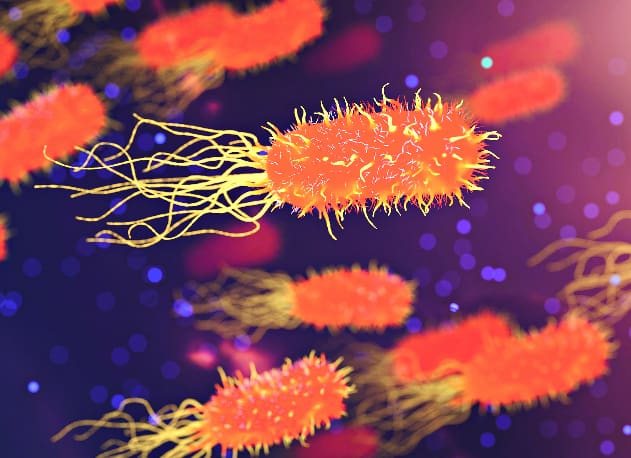 bacteria2PNG