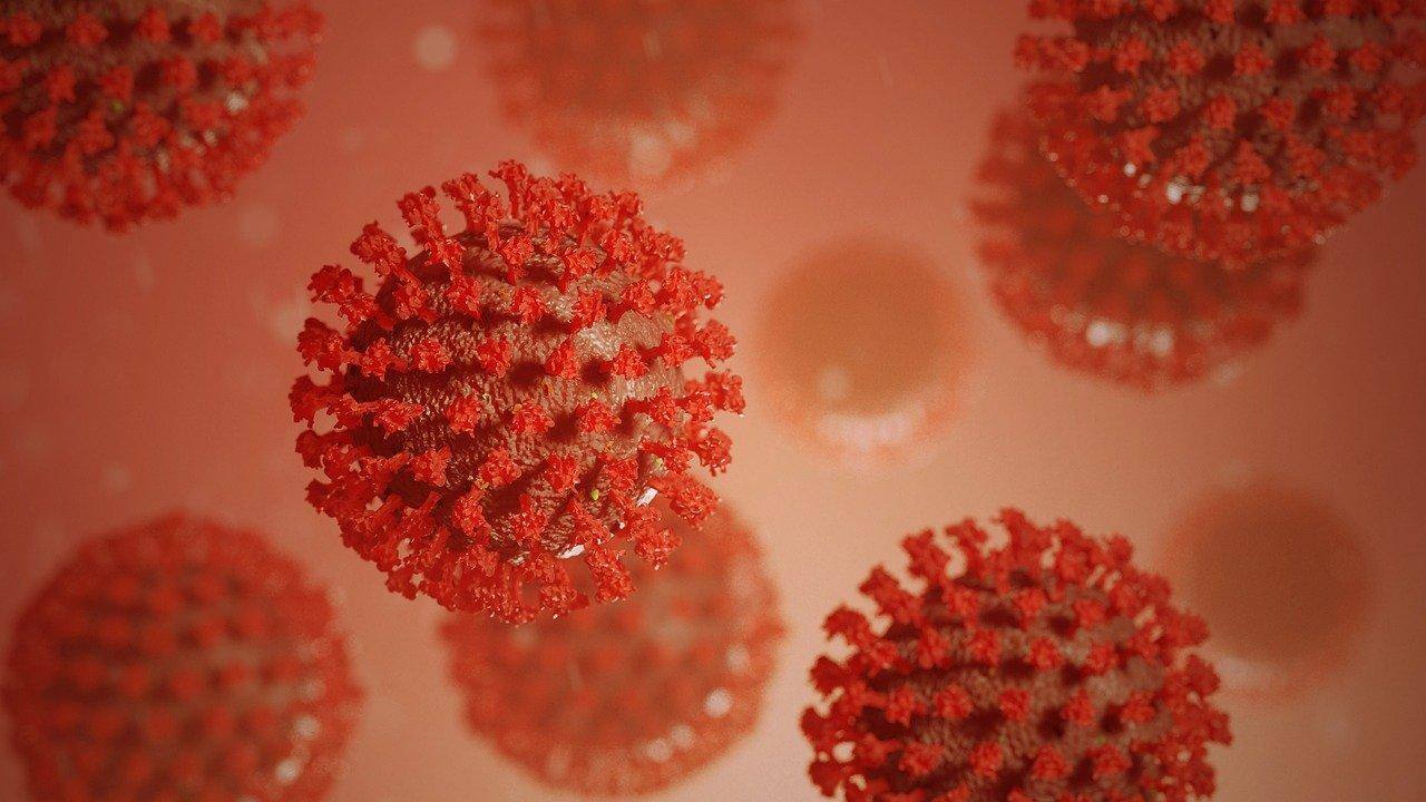 Entenda as novas variantes do coronavírus e por que devemos nos preocupar