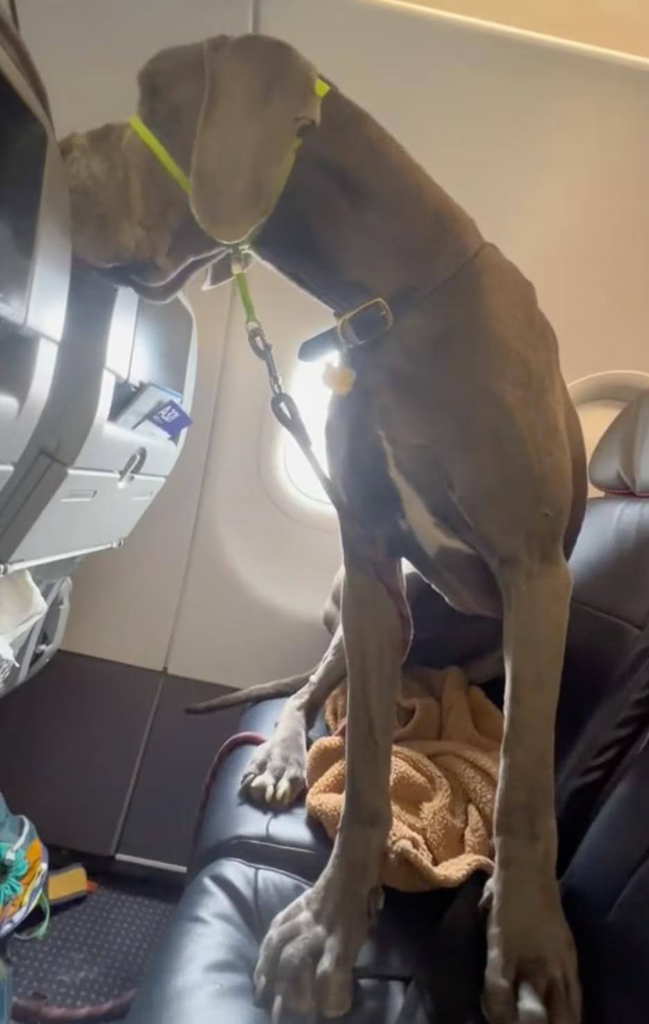 três assentos em viagem de avião