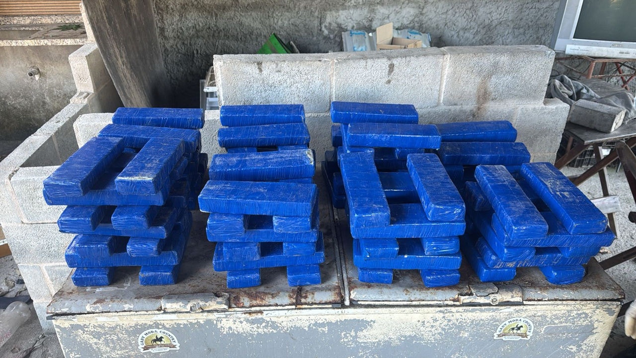 Drogas apreendidas na operação