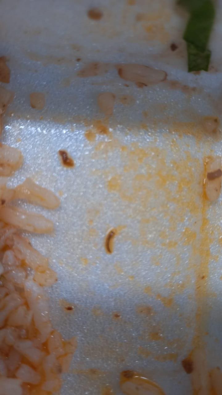Larva alimentação Hospital João Paulo II