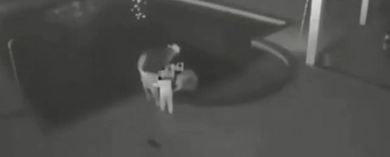 O filho de 3 anos do casal estava no colo da vítima que teve 40% do corpo queimado. O caso foi registrado na cidade de Cuparaque, em Minas Gerais