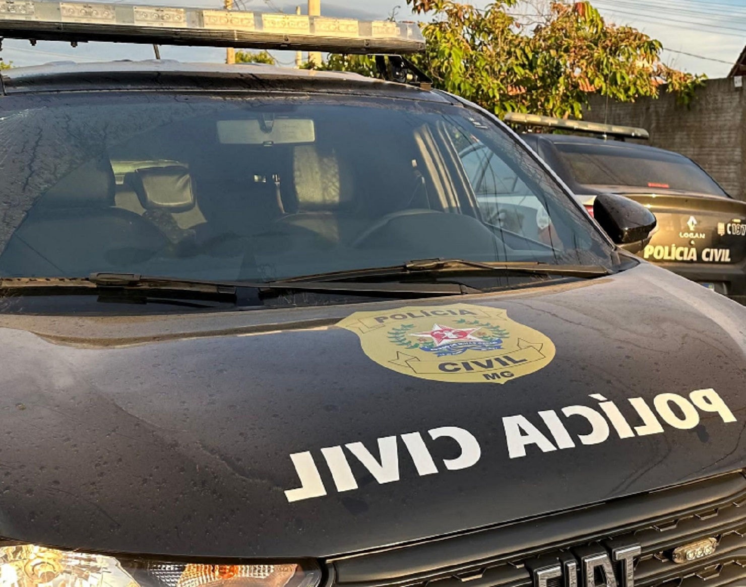 Caso foi apurado pela Polícia Civil do município