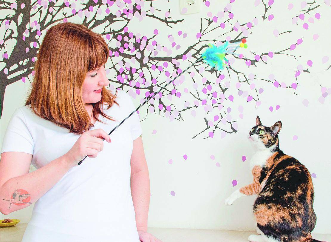 Letícia resolveu estudar a fundo o comportamento animal por conta de sua gata (que, aliás, não é a que aparece na foto): arredia até a medula, Lelê foge léguas quando chega alguém à sua casa