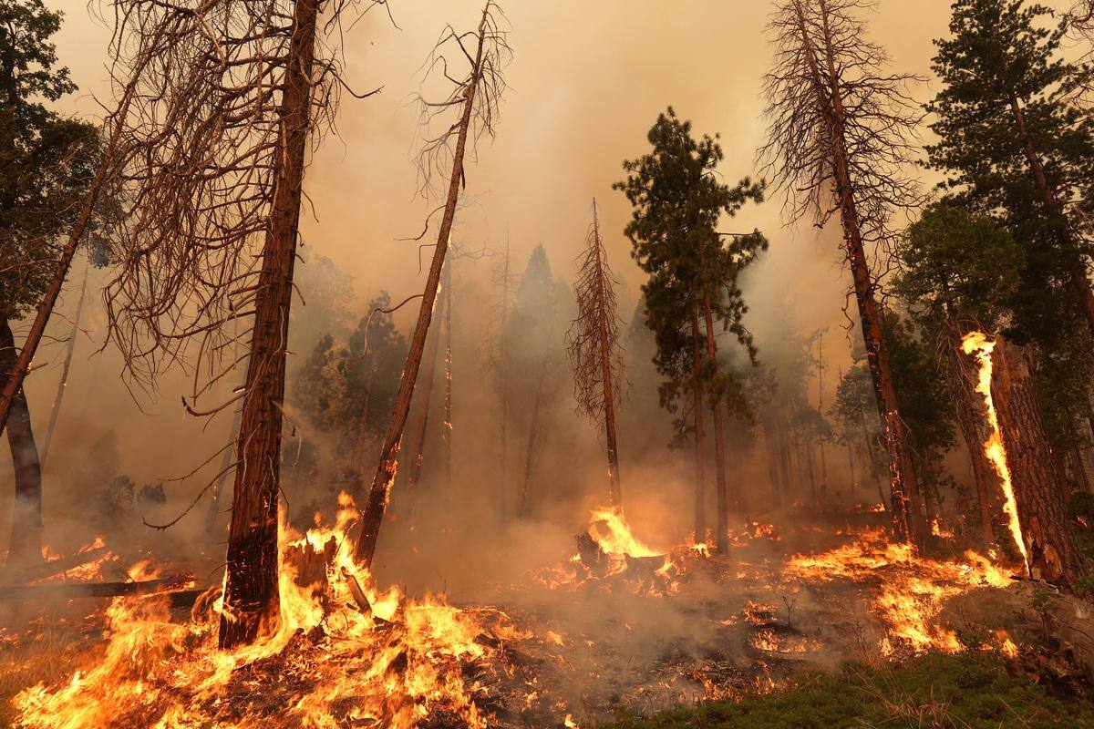 Grande incêndio florestal na Califórnia, nos EUA, mobiliza mais de 2.000 bombeiros