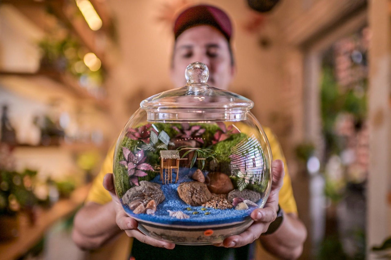 Terrários conquistam mercado em BH