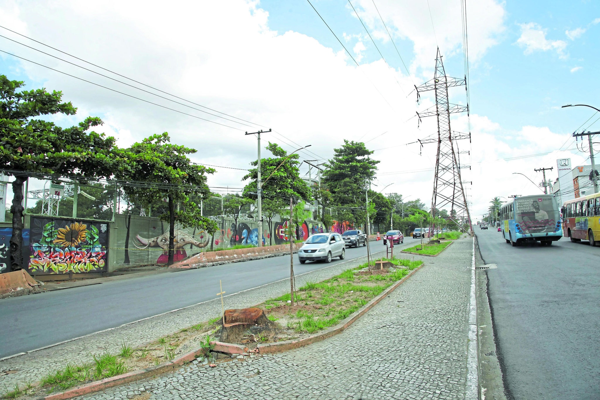 Corte de arvore
Foto: Uarlen Valerio / O Tempo 14/02/2020   

