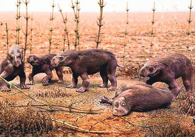 Ilustração mostra filhotes de répteis primitivos Ilustração mostra filhotes de répteis primitivos