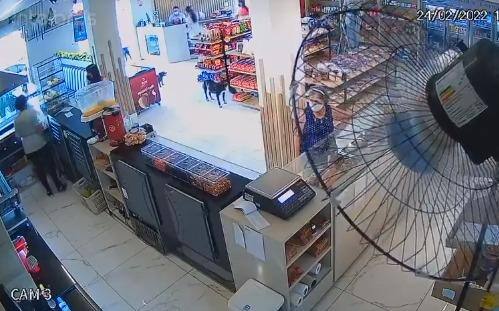 Cachorro furtou pacote de pão em Passos, no Sula de Minas