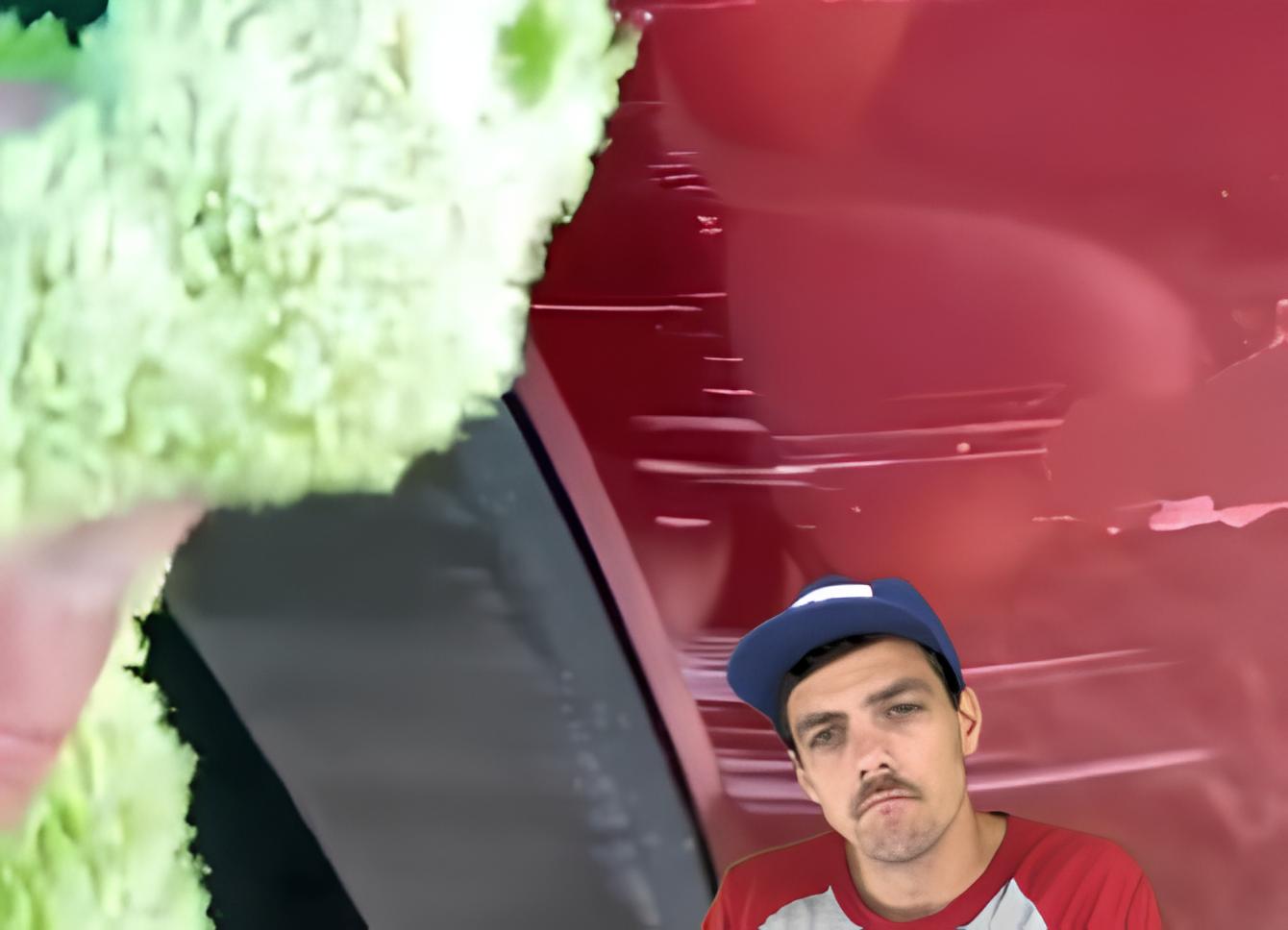 Mistura de óleo de coco com vinagre branco para remover riscos na pintura viralizou nas redes sociais
