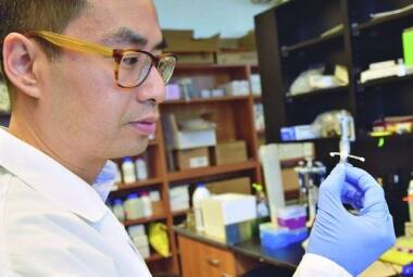 O pesquisador Emmanuel Ho, da Universidade de Waterloo, no Canadá, segura o implante criado por ele
