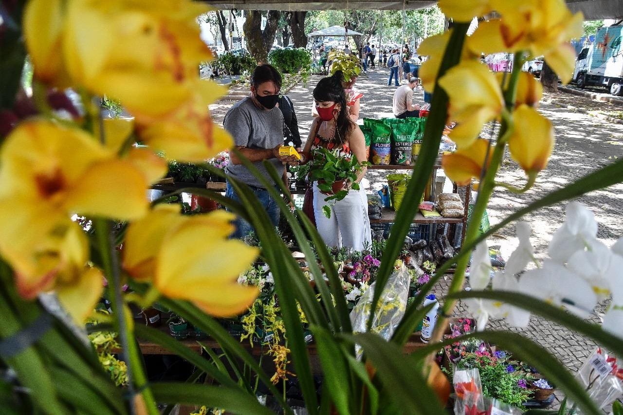 Feira das Flores