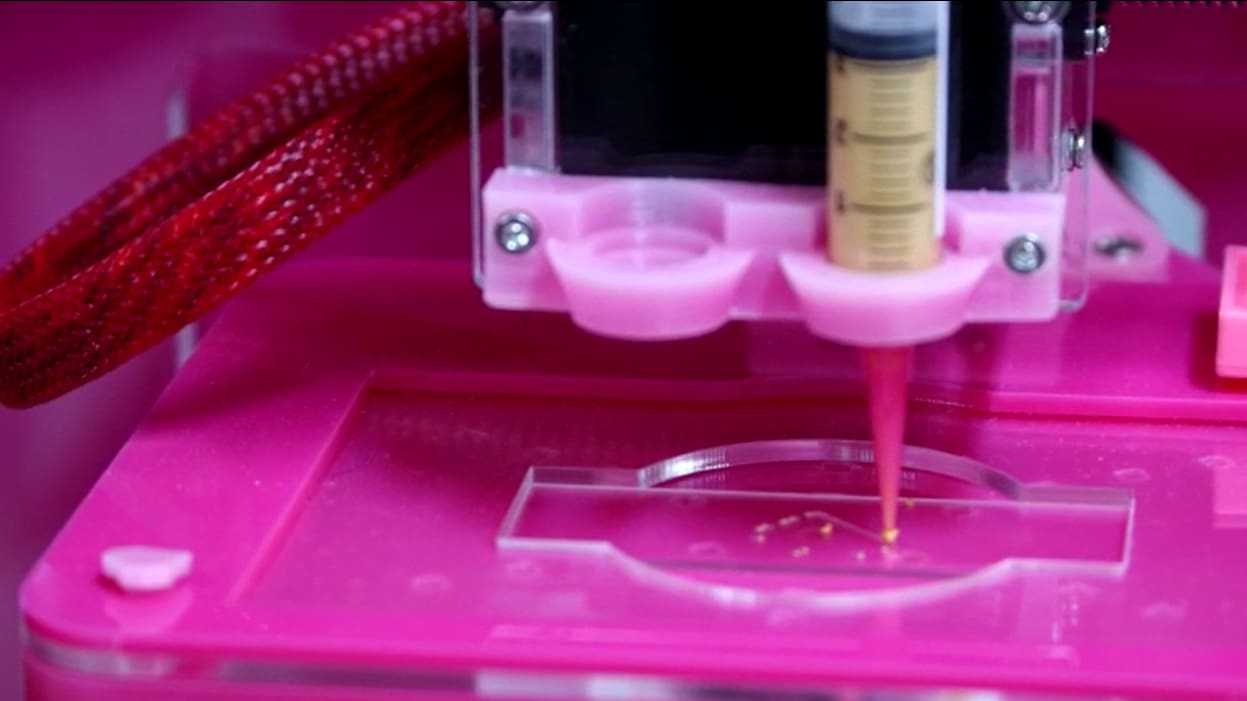 Bioimpressora ajuda a reproduzir as estruturas de órgãos com maior precisão
