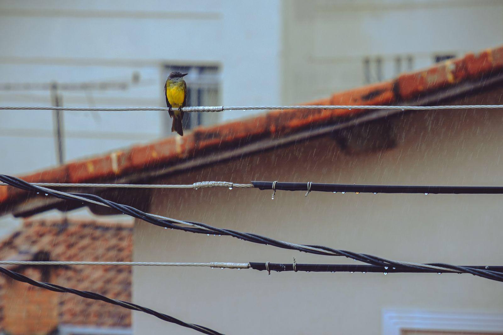 Chuva em Belo Horizonte