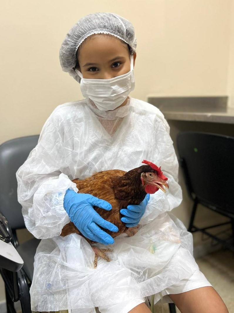 A galinha foi levada no Hospital das Clínicas da UFMG no dia 1° de março