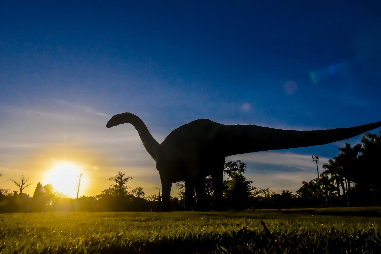 Desde 2023, Uberaba integra a Rede Global de Geoparques da Unesco, com o Geoparque Uberaba – Terra de Gigantes