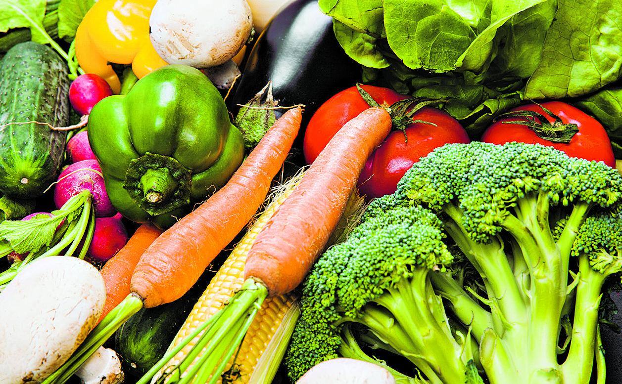 Variedade. Alimentos in natura e orgânicos são aliados de uma dieta equilibrada e diversa, o que ajuda o sistema imunológico