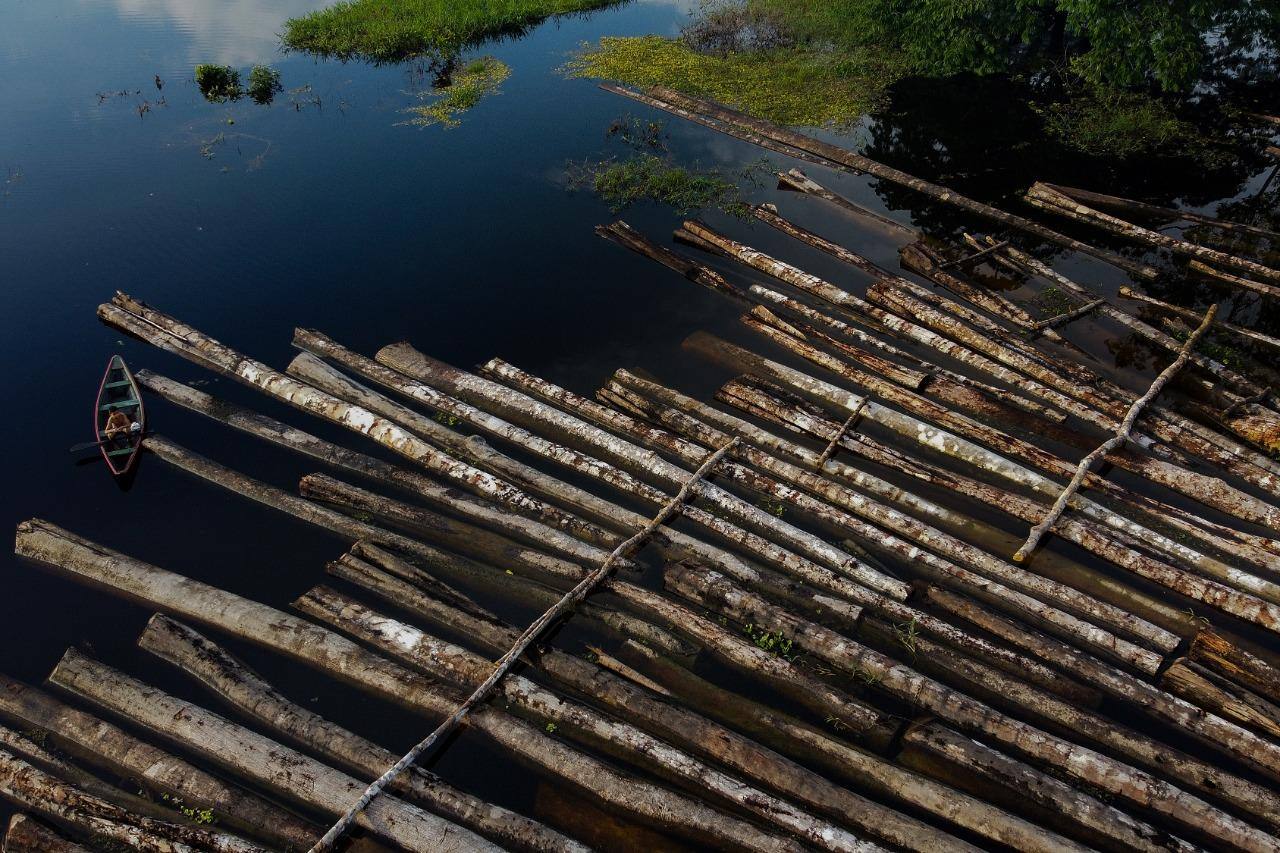 Cerca de 900 toras de madeira cortadas da floresta foram apreendidas pela polícia, em Manacupuru, no Amazonas