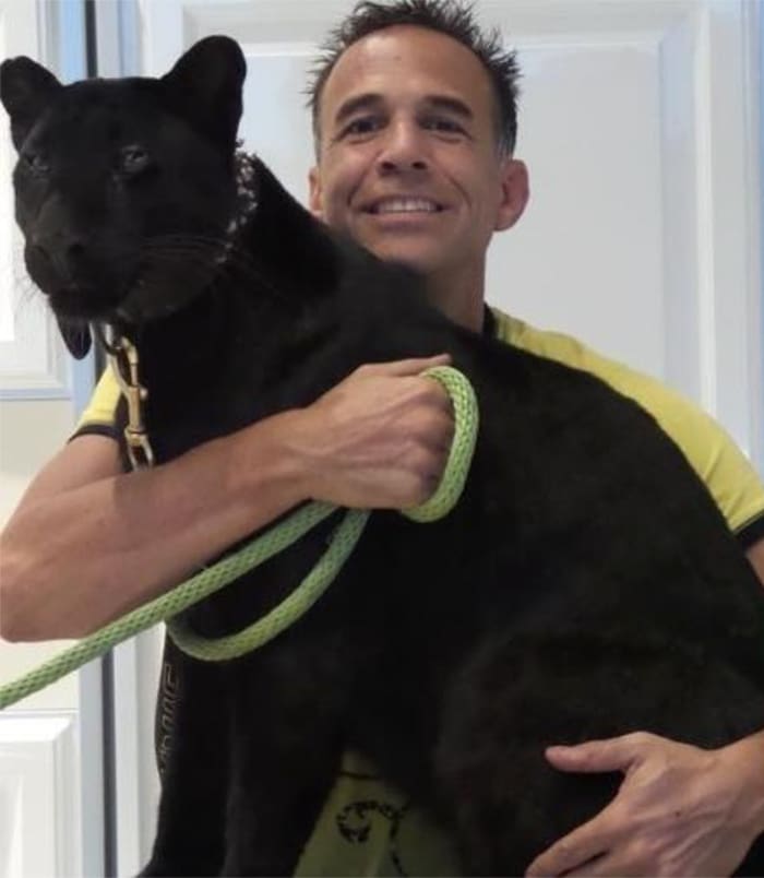 Michael Poggi é dono da pantera negra que atacou Turner