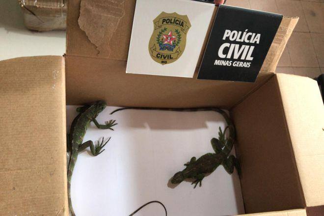 Divulgação/Polícia Civil