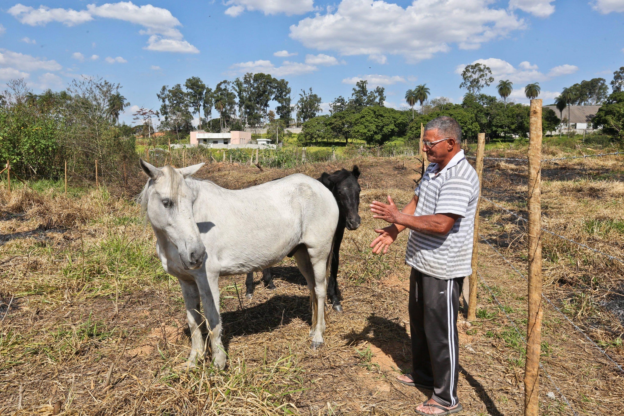 Lote onde residiam as vítimas tem cavalos e capivaras, hospedeiros do carrapato-estrela