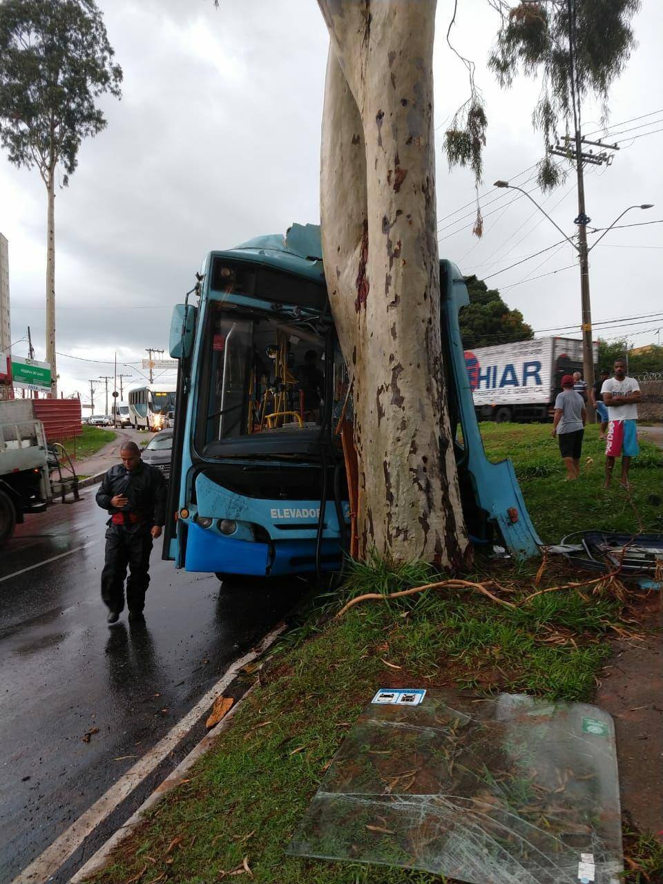 ônibus