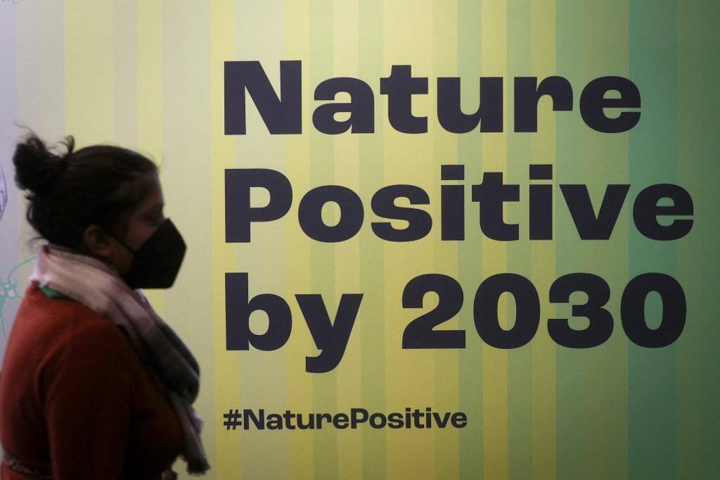 COP pela biodiversidade é realizada em Montreal, no Canadá