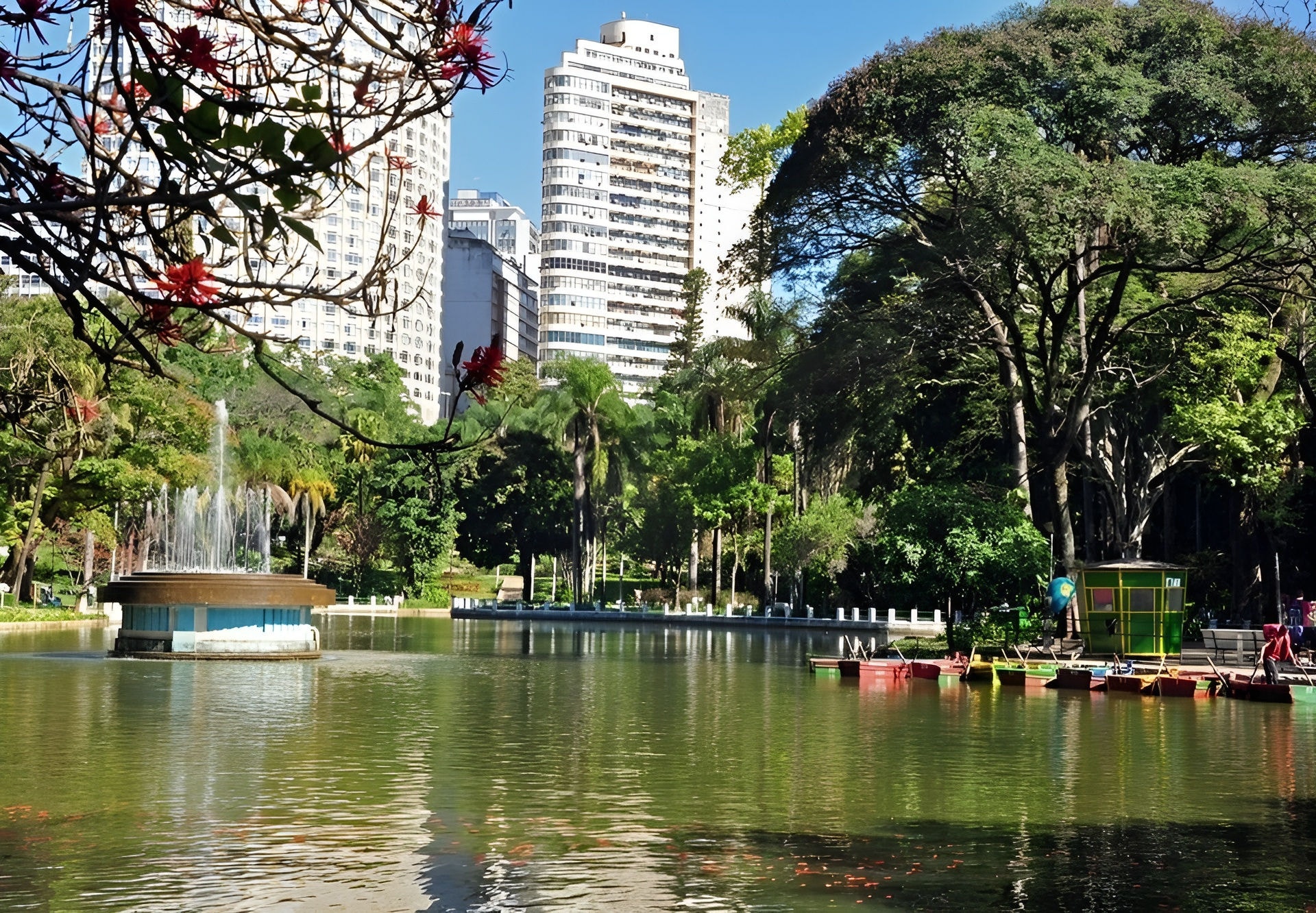A alteração temporária tem como objetivo facilitar a vacinação anual dos gatos